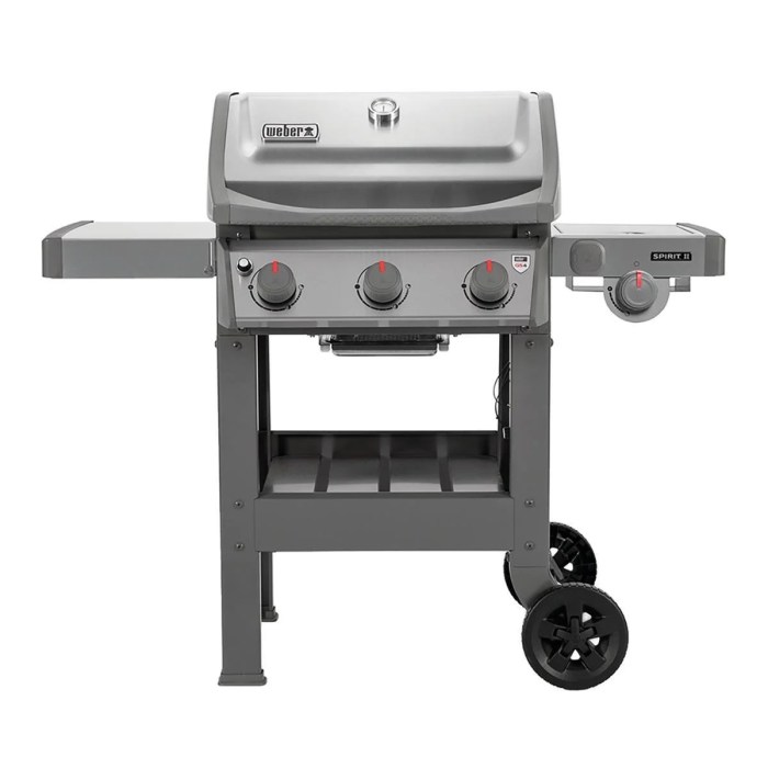 Weber grill propane q3000 euros gaz bbqguys raviday electroconseil grills