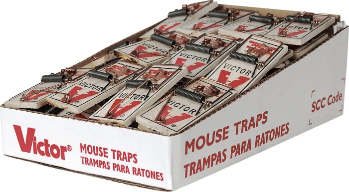 Mouse mice traps bucket fivegallonideas gallon