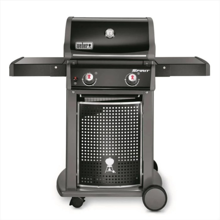 Barbecue weber leroy merlin