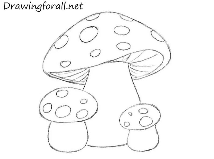 Draw mushrooms kids beginners lines strokes darken unnecessary erase smoothen