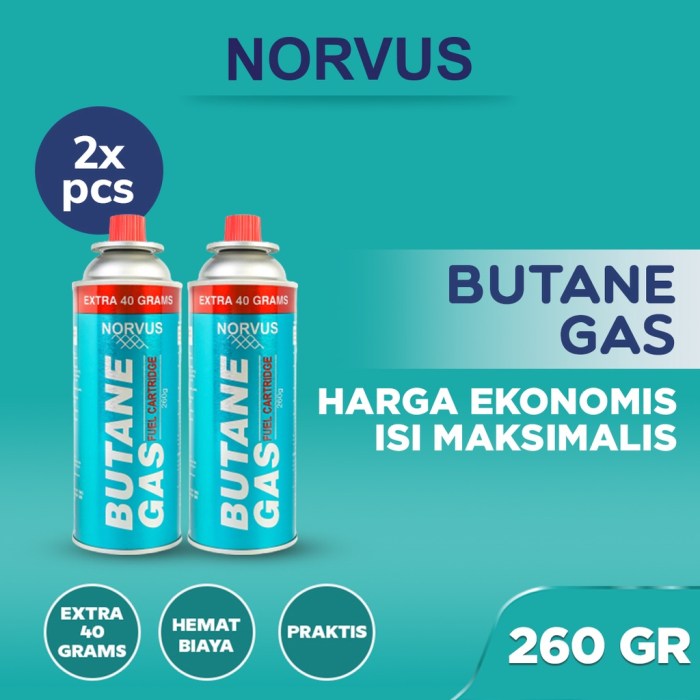 Inverseur gaz butane leroy merlin