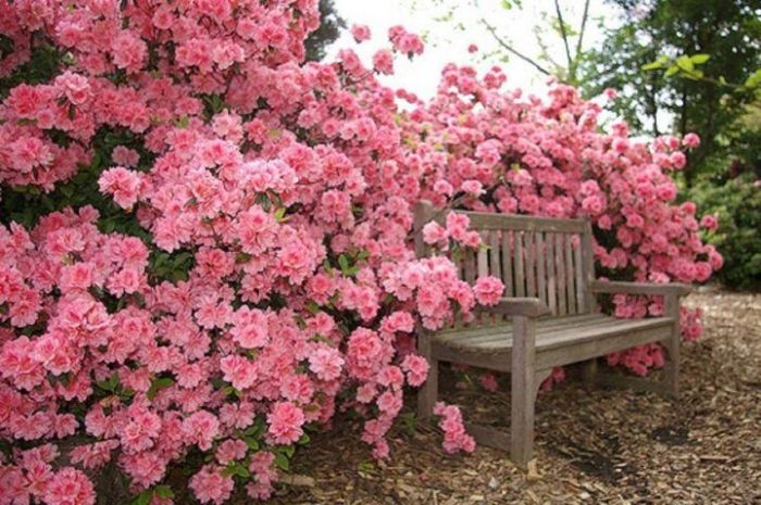 Pruning tying trellises june robust