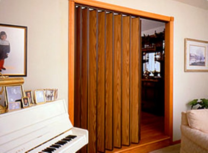 Accordion doors door folding ideas pvc philippines type price exterior classified interior ad