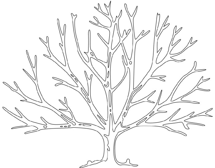 Coloriage arbre nu