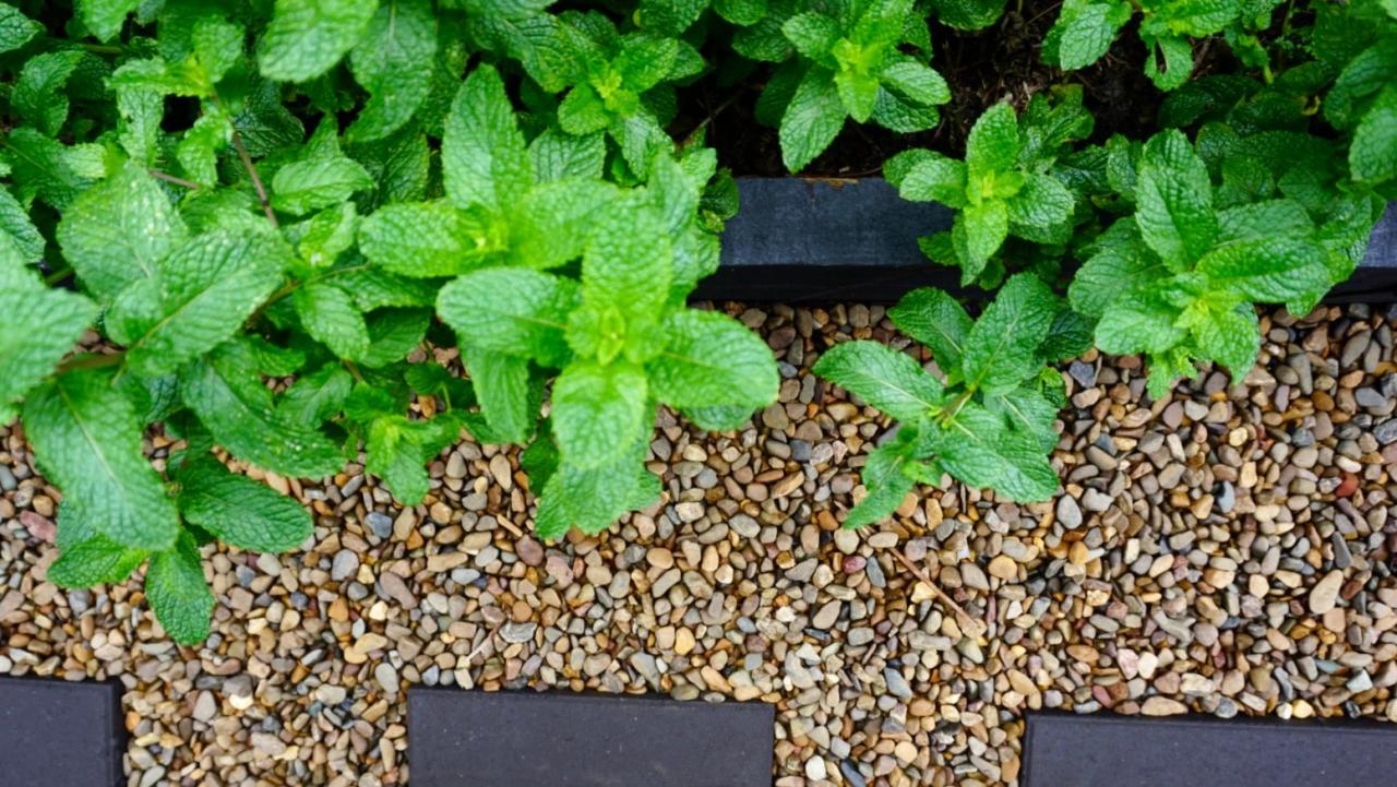 Rocks pebbles polished house walkway gravel pebble porch