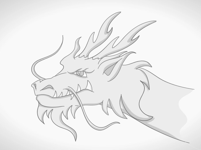 Dragon easy draw drawing head drawings simple