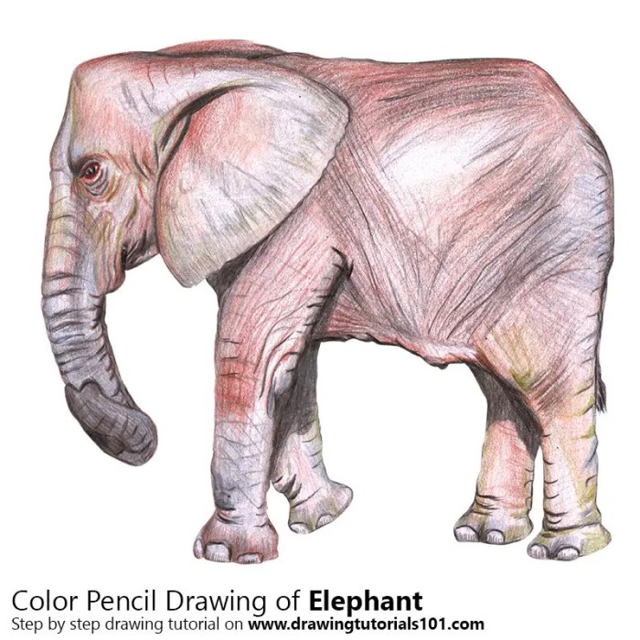 Dessin elephant couleur