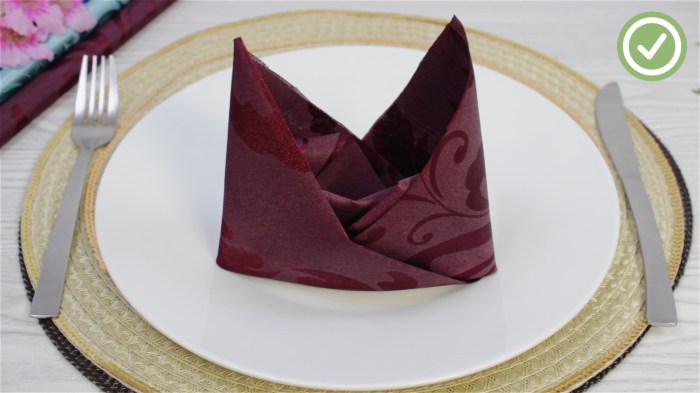 Napkin napkins folds