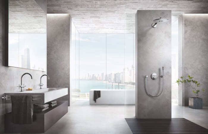 Wc grohe castorama