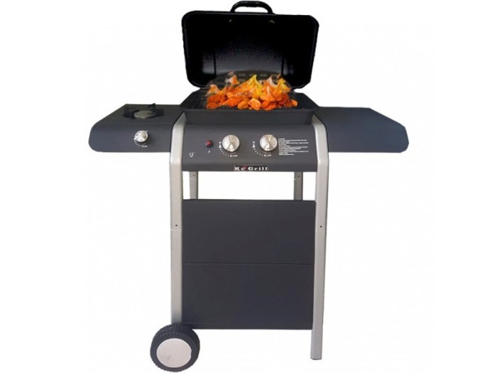 Conforama electrique barbecue plancha