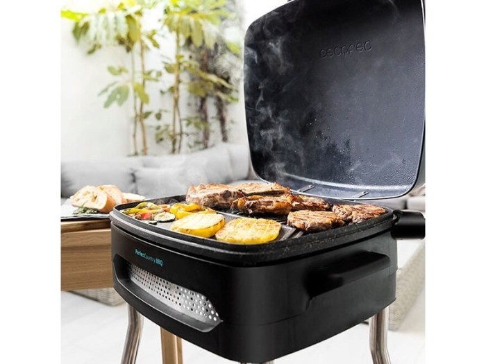 Barbecue electrique conforama