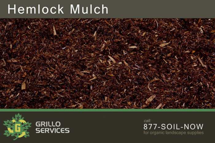 Mulch hemp