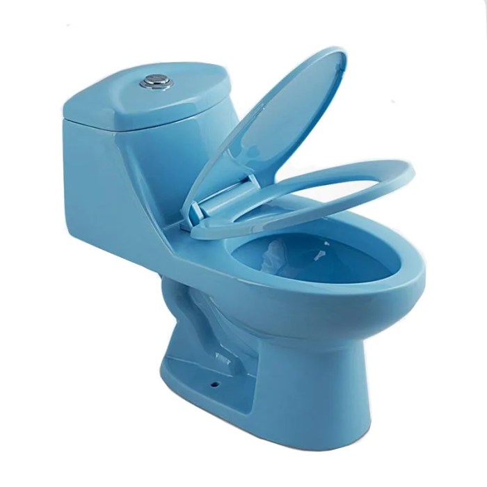 Peinture wc bleu