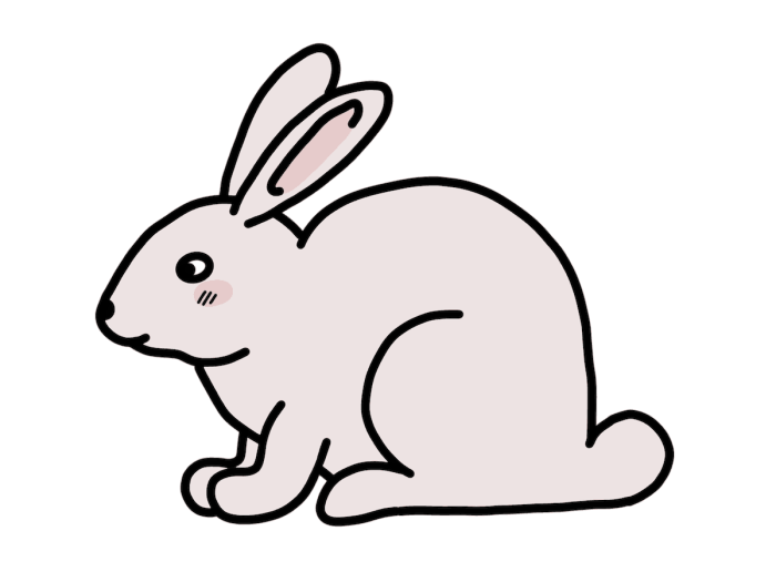 Image de lapin facile a dessiner