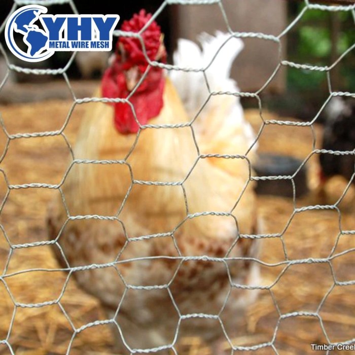 Chicken wire coop using