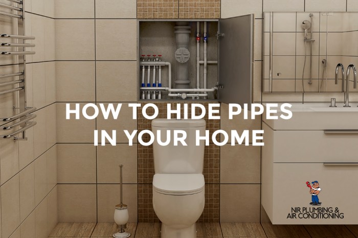 Pipes bathroom hide sink under ideas cover pedestal fix towel thrifty thow exposed