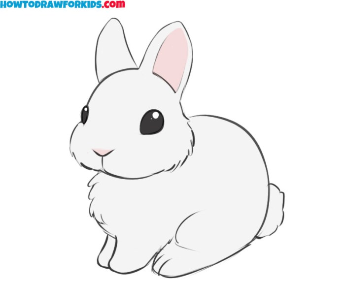 Dessin lapin tres facile