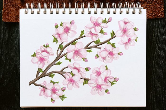 Comment dessiner une fleur de cerisier