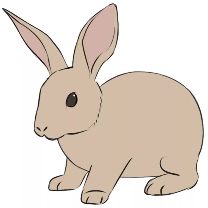 Dessin de lapin facile a dessiner