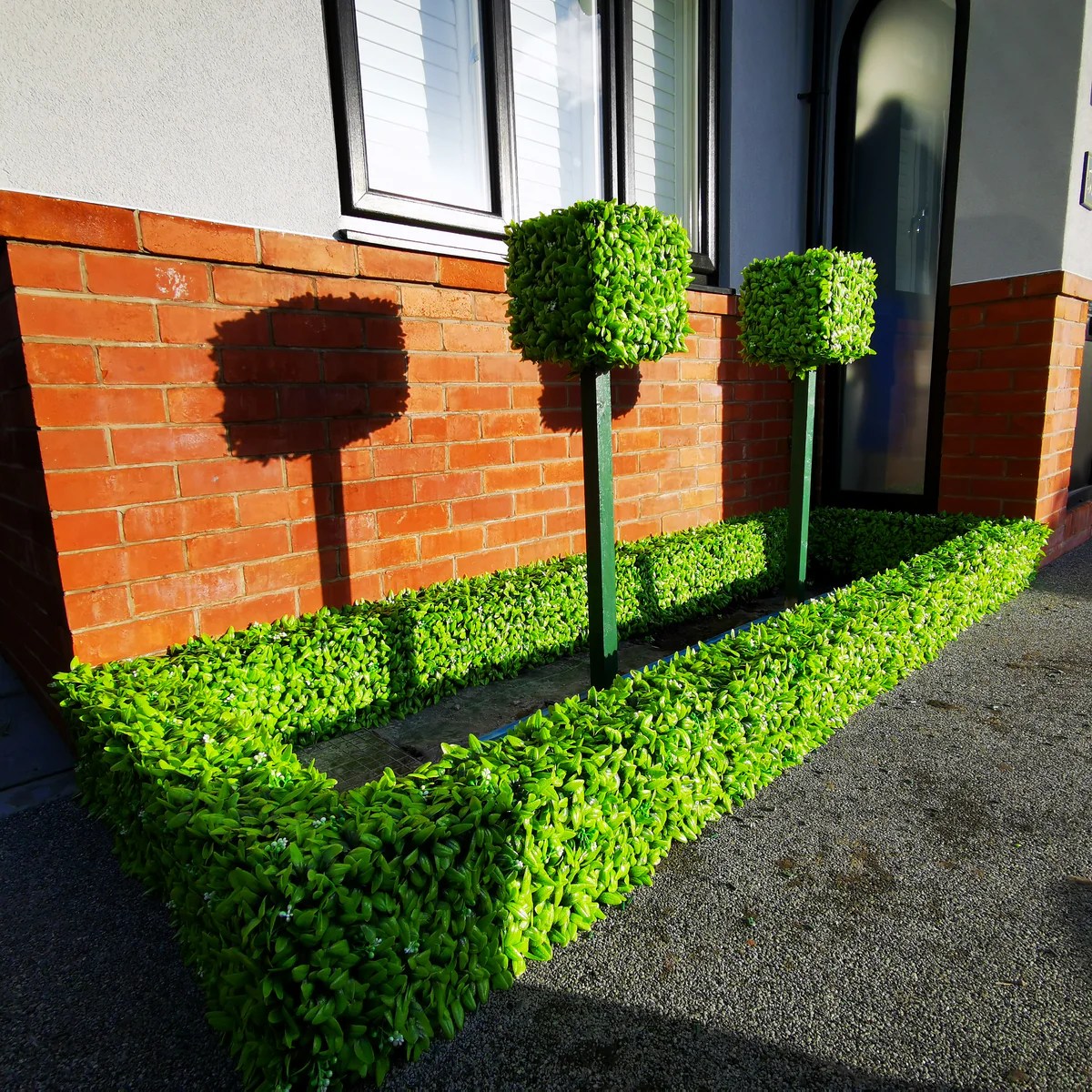 Hedge