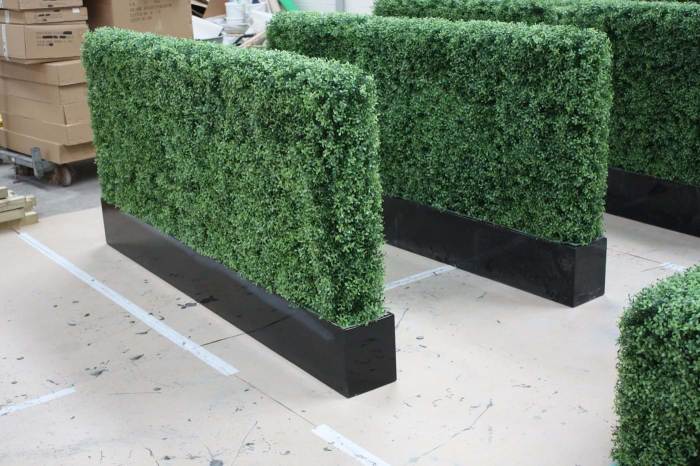 Hedge boxwood hedges artificial designerplants plants resistant 75cm panels balcony plant