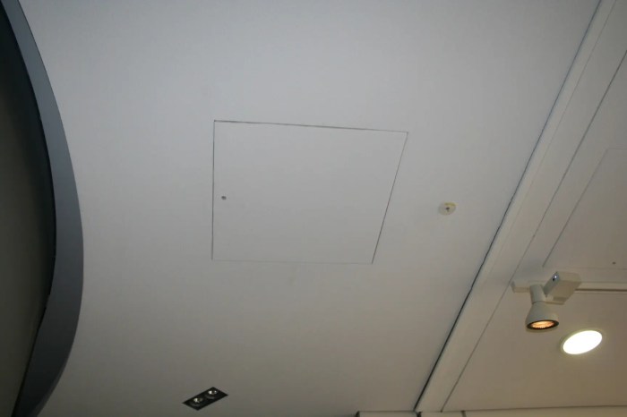 Cache trou plafond castorama