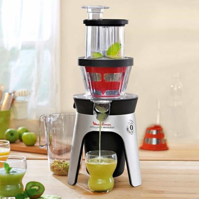 Juicer moulinex infiny