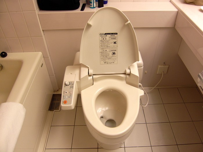 Japanse toiletten deel hurken maar s966