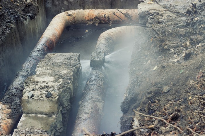 Underground pipe leaks find irrigation