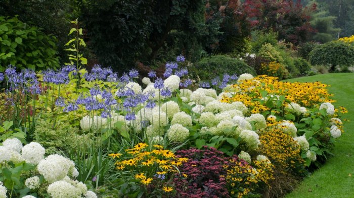 Bordure de fleurs vivaces