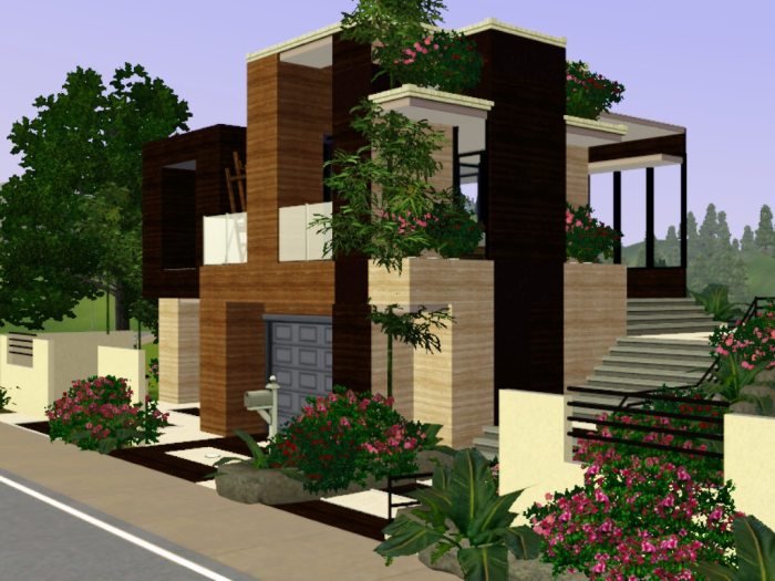 Sims house modern