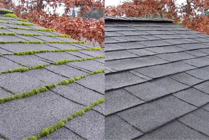 Roof moss cleaning removal service