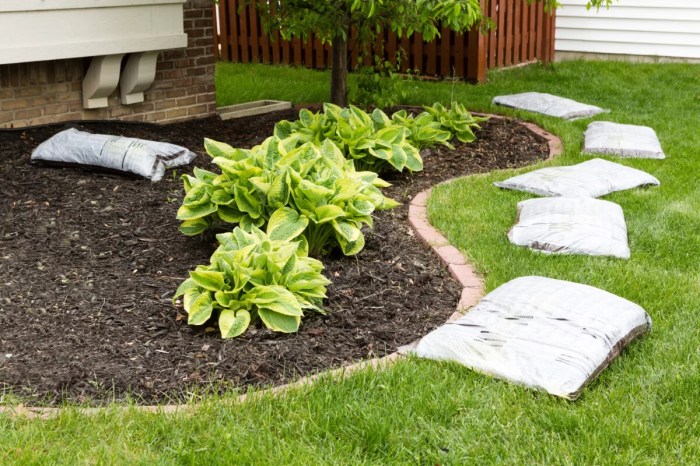 Garden fertilising mulching backyard