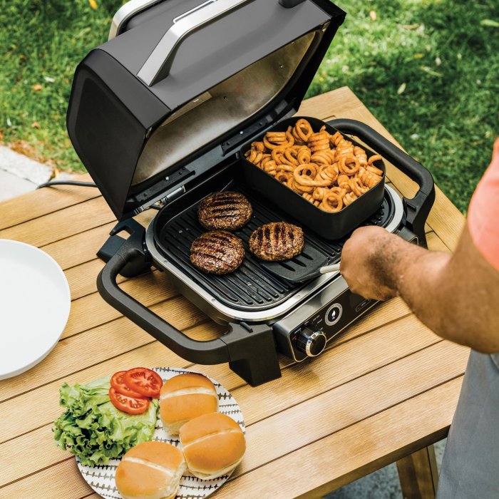 Barbecue electrique soldes