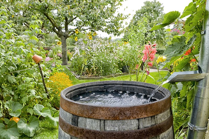 Recuperer eau de pluie gouttiere