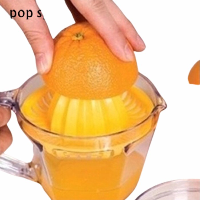 Presse agrumes citrus colichef langue