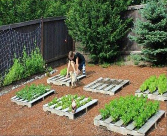 Idees uniques de palettes de jardin