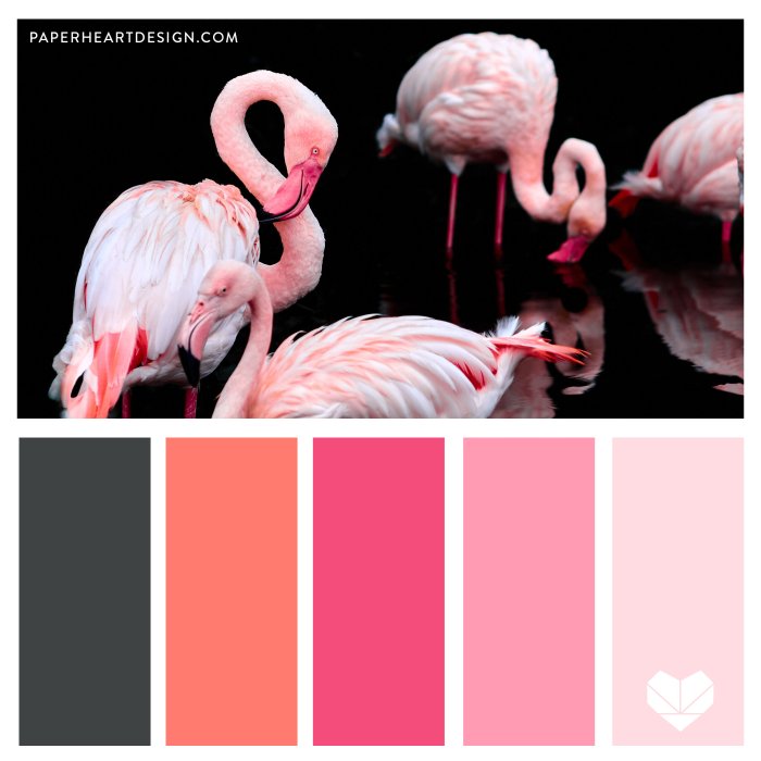 Color flamingo pink inspiration palette lauren shrimp tons inspire palettes project next click shrimpsaladcircus