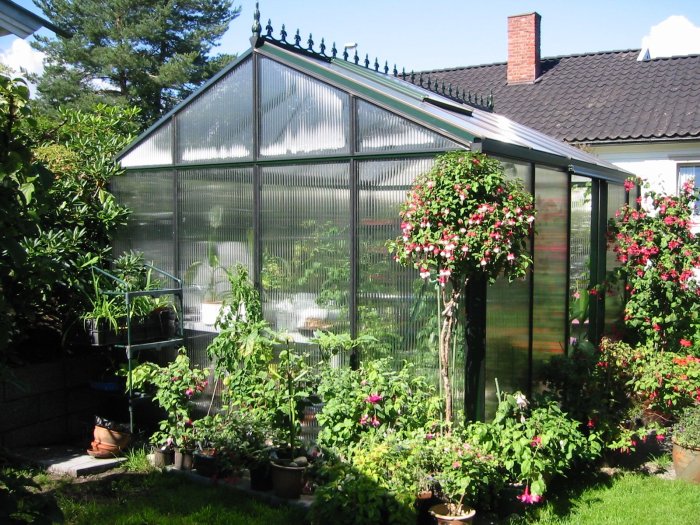 Polycarbonate greenhouses insteading rocket