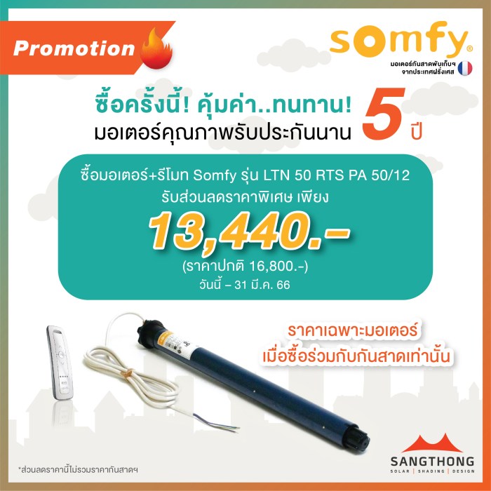 Promo somfy castorama