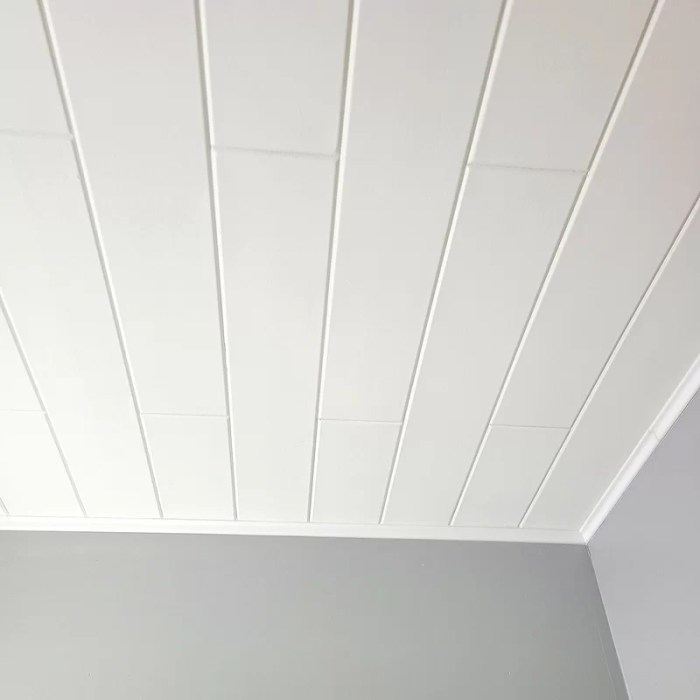 Dalle Polystyrene Plafond Leroy Merlin