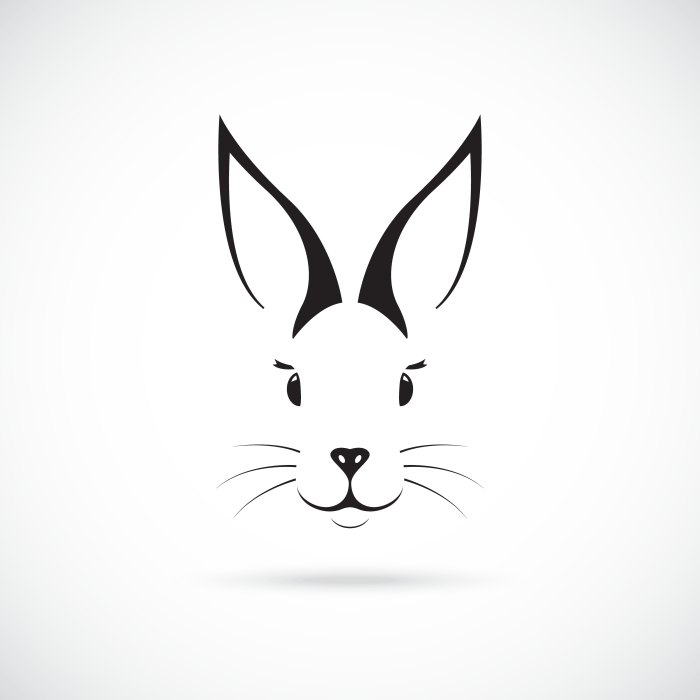 Comment dessiner un lapin de paques