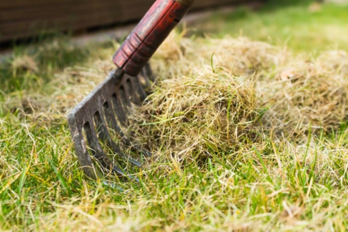 Thatch synthetic roof