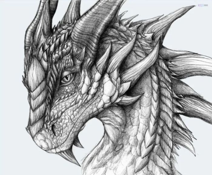 Dessin de dragon facile a reproduire