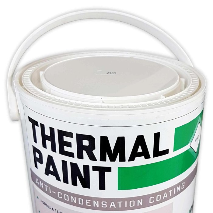 Peinture thermique leroy merlin