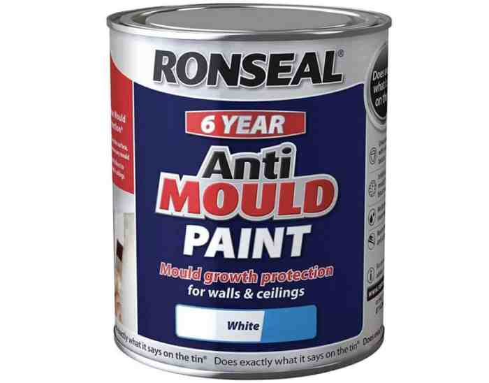 Peinture anti moisissure leroy merlin