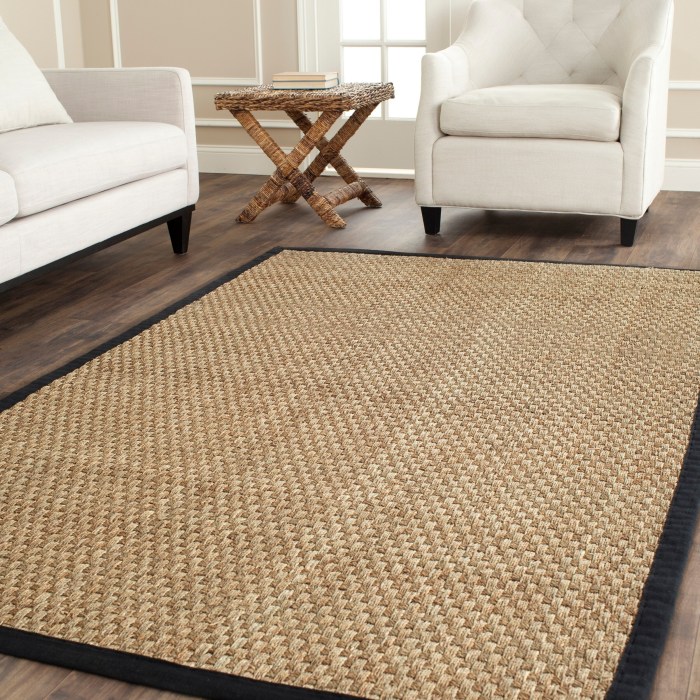 Seagrass rug kosas mar del magnifying glass