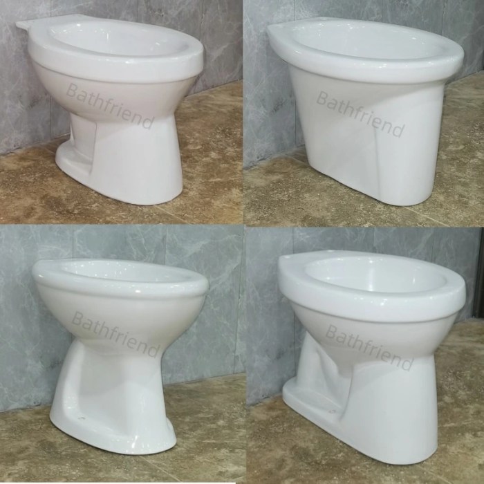 Toilet flushing powerful most standard american siphonic toilets flush super reviews strongest