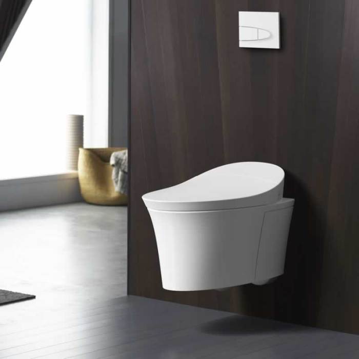 Toilet wall tank flush geberit hung toilets plumbing systems