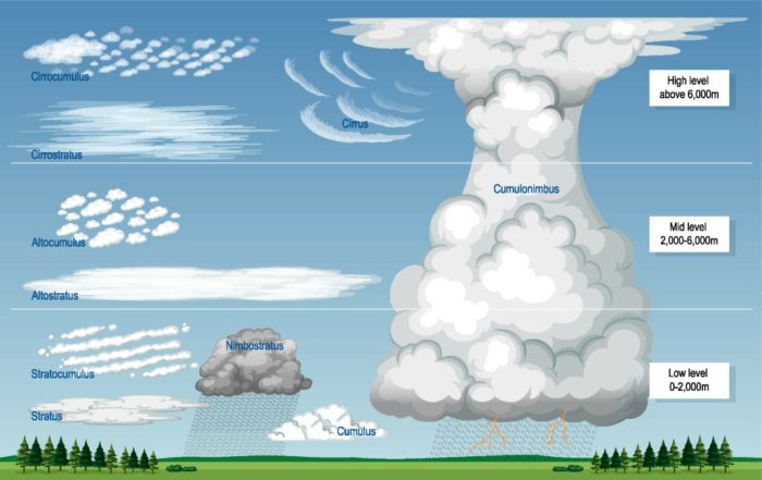 Cumulus 300 litres castorama